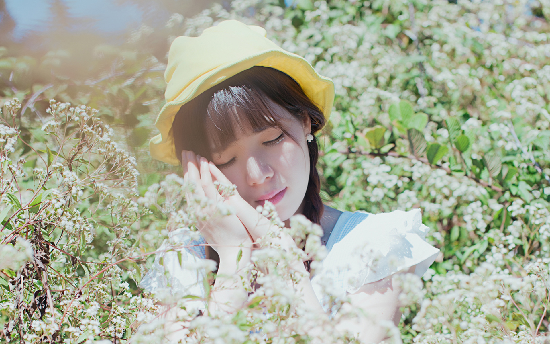 DreamsofDesireintheDark原版